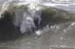 09-05-09-joel-badina-2